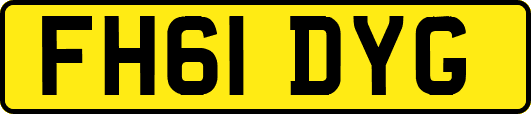 FH61DYG
