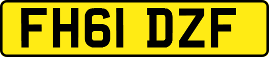 FH61DZF