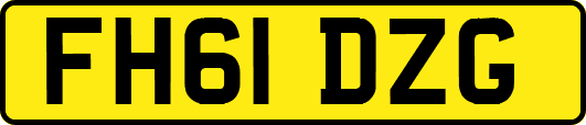 FH61DZG