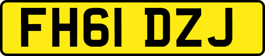 FH61DZJ