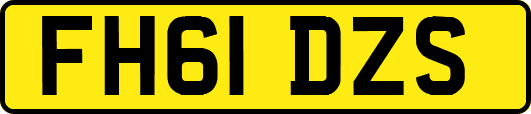 FH61DZS