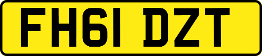 FH61DZT