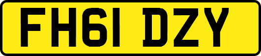 FH61DZY