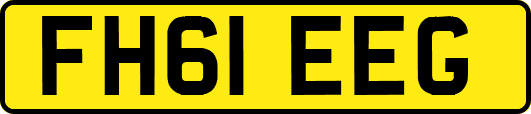 FH61EEG