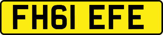 FH61EFE