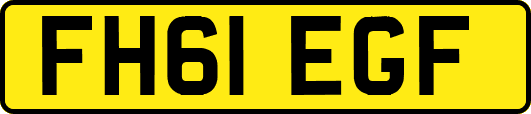 FH61EGF