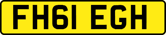 FH61EGH