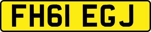 FH61EGJ