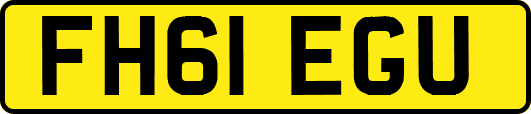 FH61EGU