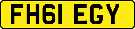 FH61EGY