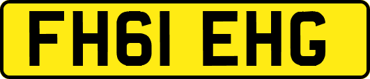 FH61EHG