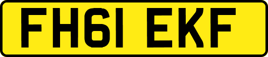 FH61EKF