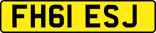FH61ESJ