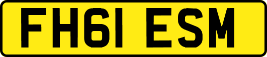 FH61ESM
