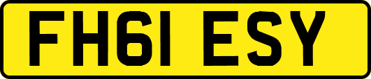 FH61ESY