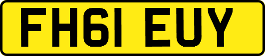 FH61EUY