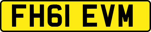 FH61EVM