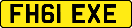 FH61EXE