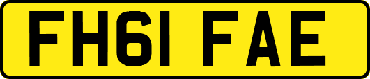 FH61FAE