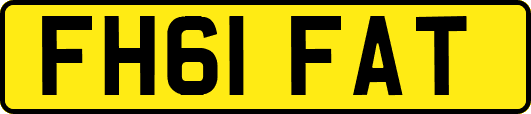 FH61FAT