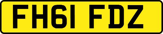 FH61FDZ