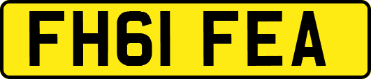 FH61FEA