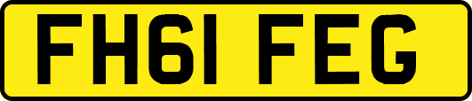 FH61FEG