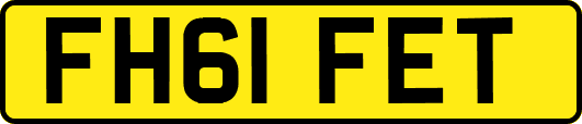 FH61FET