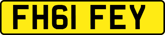 FH61FEY