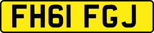 FH61FGJ