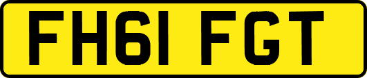 FH61FGT