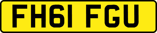 FH61FGU