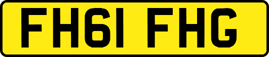 FH61FHG