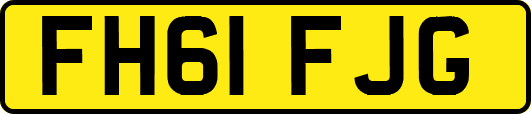 FH61FJG