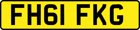FH61FKG