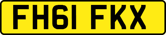 FH61FKX