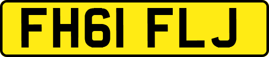 FH61FLJ