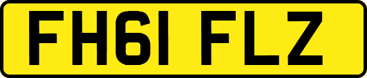 FH61FLZ