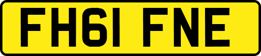 FH61FNE