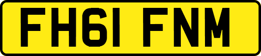 FH61FNM