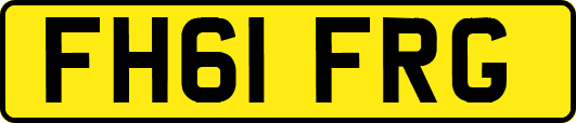 FH61FRG