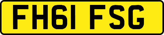FH61FSG