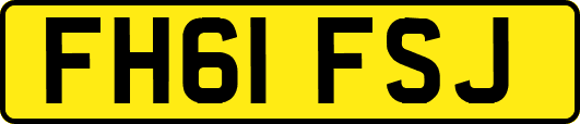 FH61FSJ