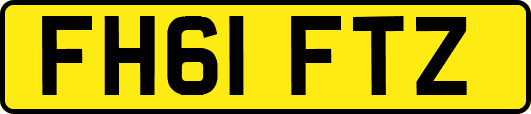 FH61FTZ