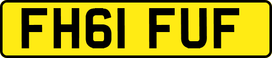 FH61FUF