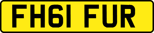 FH61FUR