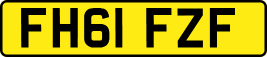 FH61FZF