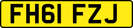 FH61FZJ