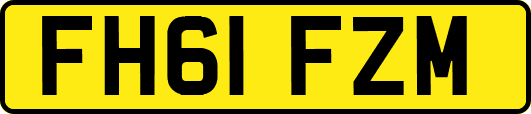 FH61FZM