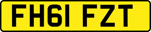 FH61FZT